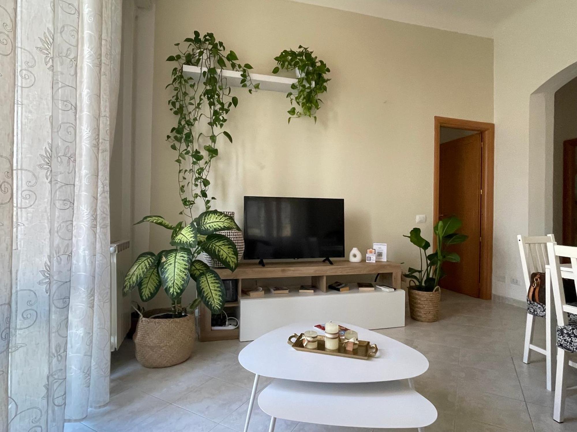 La Casa Di Paloma *